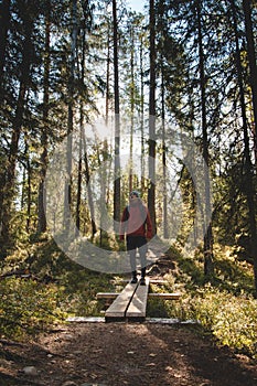 View of a grown man walking through the forest on a duckboard in Hiidenportti national park, Sotkamo, kainuu region in Finland.