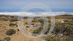 View from the Guajara of the south of Tenerife photo