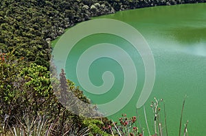 A view of the Guatavita lake in the national park of the same name. Cordillera Oriental of the Colombian Andes in Sesquile,