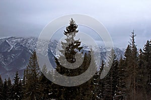 View from Gubalowka 1,126 m on Tatry mountains in snowing day, Zakopane