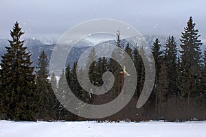 View from Gubalowka 1,126 m on Tatry mountains in snowing day, Zakopane