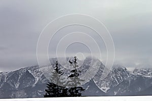 View from Gubalowka 1,126 m on Tatry mountains in snowing day, Zakopane