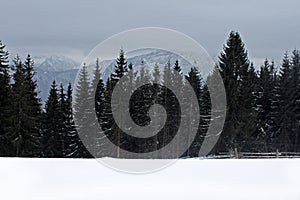 View from Gubalowka 1,126 m on Tatry mountains in snowing day, Zakopane