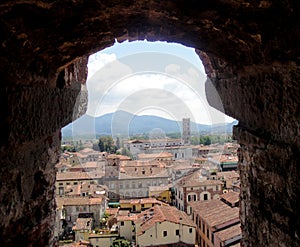 View from Guinigi Tower in Lucca Toscana Italy