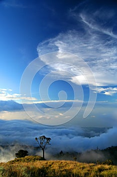 View From Gunung Rinjani photo