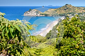 A view of Hahei Beach in the Coromandel,new zealand