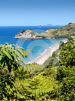 A view of Hahei Beach in the Coromandel,new zealand 2