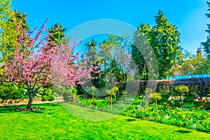 View of the Hall's Croft gardens in Stratford upon Avon, England