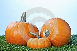 View of halloween pumpkins over grass