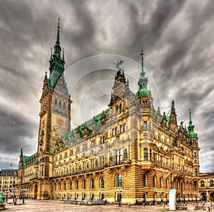 View of Hamburg City Hall