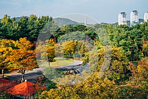 View of Hanbat Arboretum and modern buildings at autumn in Daejeon, Korea