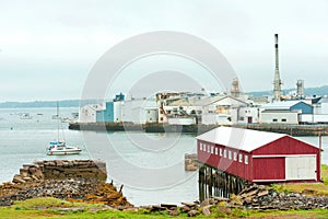Rockland harbor in Maine photo
