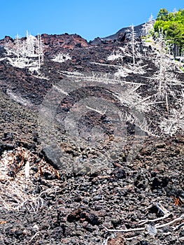 View of hardened lava flow on slope of Etna