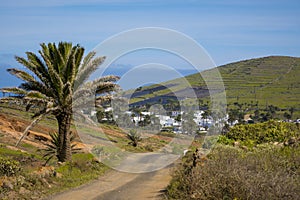 View on Haria on Lanzarote and the valley of the thousand palms