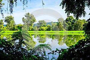 View of the Harkortsee and the surrounding landscape. Nature by the lake on the Ruhr.