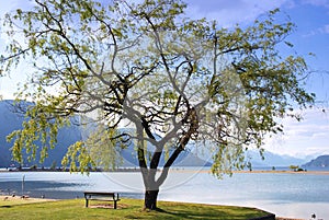 View of harrison hot springs