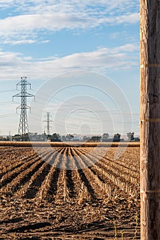 View of harvested cornfield and high tension power lines.