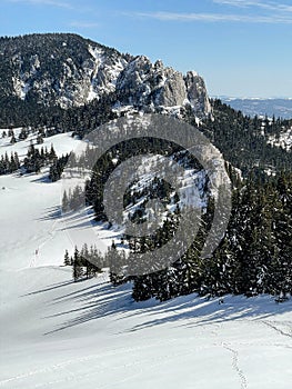 The view of the Hasmasul Mare mountains photo