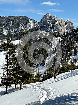 The view of the Hasmasul Mare mountains photo