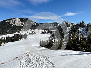 The view of the Hasmasul Mare mountains photo
