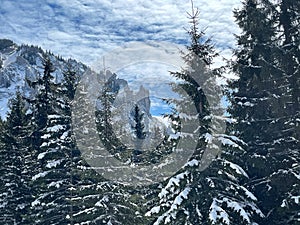 The view of the Hasmasul Mare mountains photo