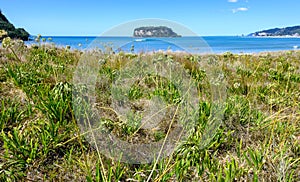 A view of Hauturu island from whangamata beach on the north island of new Zealand