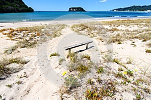 A view of Hauturu island from whangamata beach on the north island of new Zealand 4