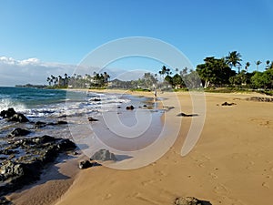 View of Hawaiian coastline and ocean