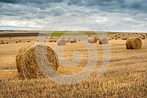 Hay bales on autumn field after harvest