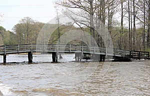 View of the Hayes Farm Bridge