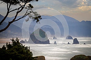 View of Haystack Rock from Ecola State Park.