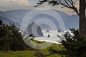 View of Haystack Rock from Ecola State Park.