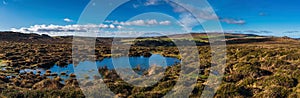 Haytor Rocks in Dartmoor Park in Devon in England photo