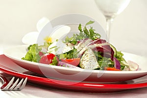 View of Healthy Salad