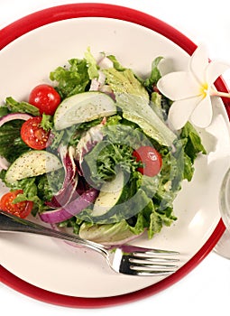 View of Healthy Salad on White