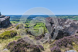 A view from the heather covered rocky cliff edge of the Roaches escarpment over the Leek Valley, Staffordshire, UK