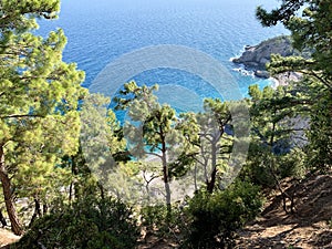 View from a height on a cliff covered with coniferous