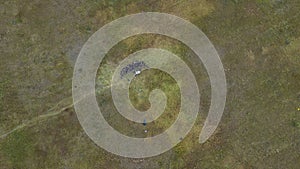 View from the height of the people are resting on the lawn. Top view of crowd of people. Space for text. Design concept