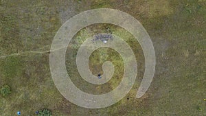 View from the height of the people are resting on the lawn. Top view of crowd of people. Space for text. Design concept