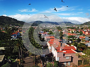 View from the height on townscape San Cristobal De La Laguna, Te