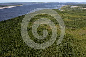 View from the helicopter on the river