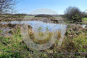 View of Henhurst Lake in the North Kent countryside