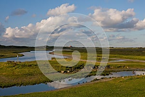 View at Het Zwin, Belgium