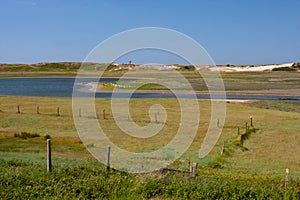 View at Het Zwin, Belgium