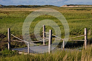 View at Het Zwin, Belgium