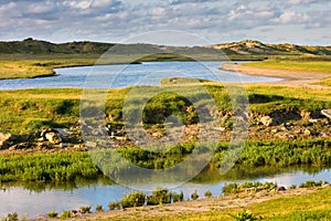 View at Het Zwin, Belgium