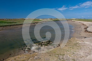 View at Het Zwin, Belgium