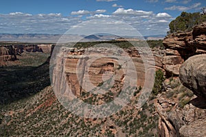 View down a red rock canyon in Colorado National Monument