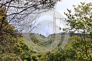 view of the high altitude cloud forest near Cerro de La Muerte. Talamanca Mountains in Costa Rica