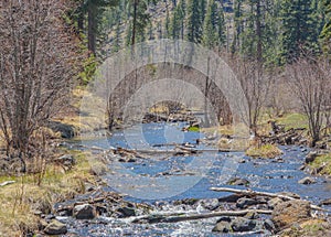 View of  the high altitude, Little Colorado River in Greer, Apache County, Arizona